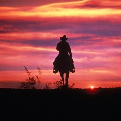 Lonely cowboy
