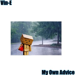 Vin - E My Own Advice