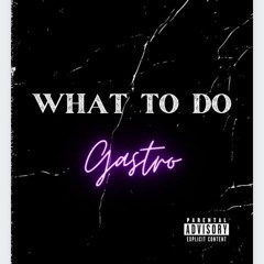 Gastrotheofficial - What To Do