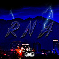R N A - 2plate$