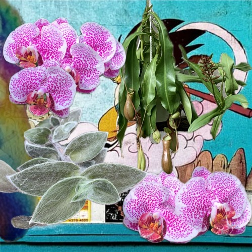 Stream Fill in the Gaps by DJ WORN-OUT | Listen online for free on ...