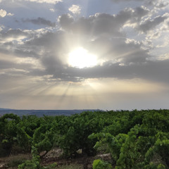 Atardecer Mantra