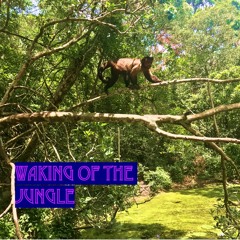 Waking of the Jungle