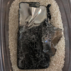 Put Myself in Rice