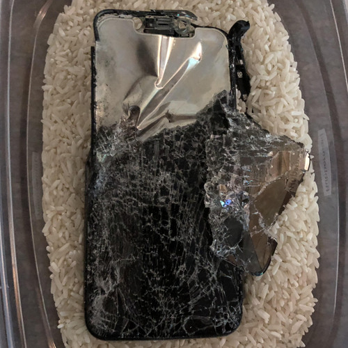 Put Myself in Rice