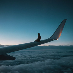 Fly