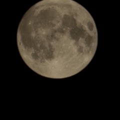 Melodic /House /Chill