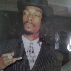 Never met snoopdogg by timmytuckermf