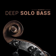 8Dio Deep Solo Bass "Ostinato And Legato Quartet" By Troels Folmann