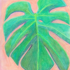 QSessions 🎵 SAMBA MPB Vinyl Set