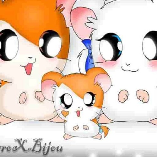 u dont need to know 😂🐾 *COLLECT THIS*