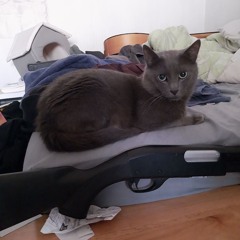 Aldous