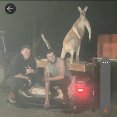 This Is Fuckin' Melbourne 🐟