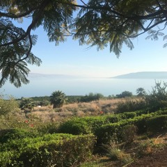 Galilee 2020 (Smashed Symphony)