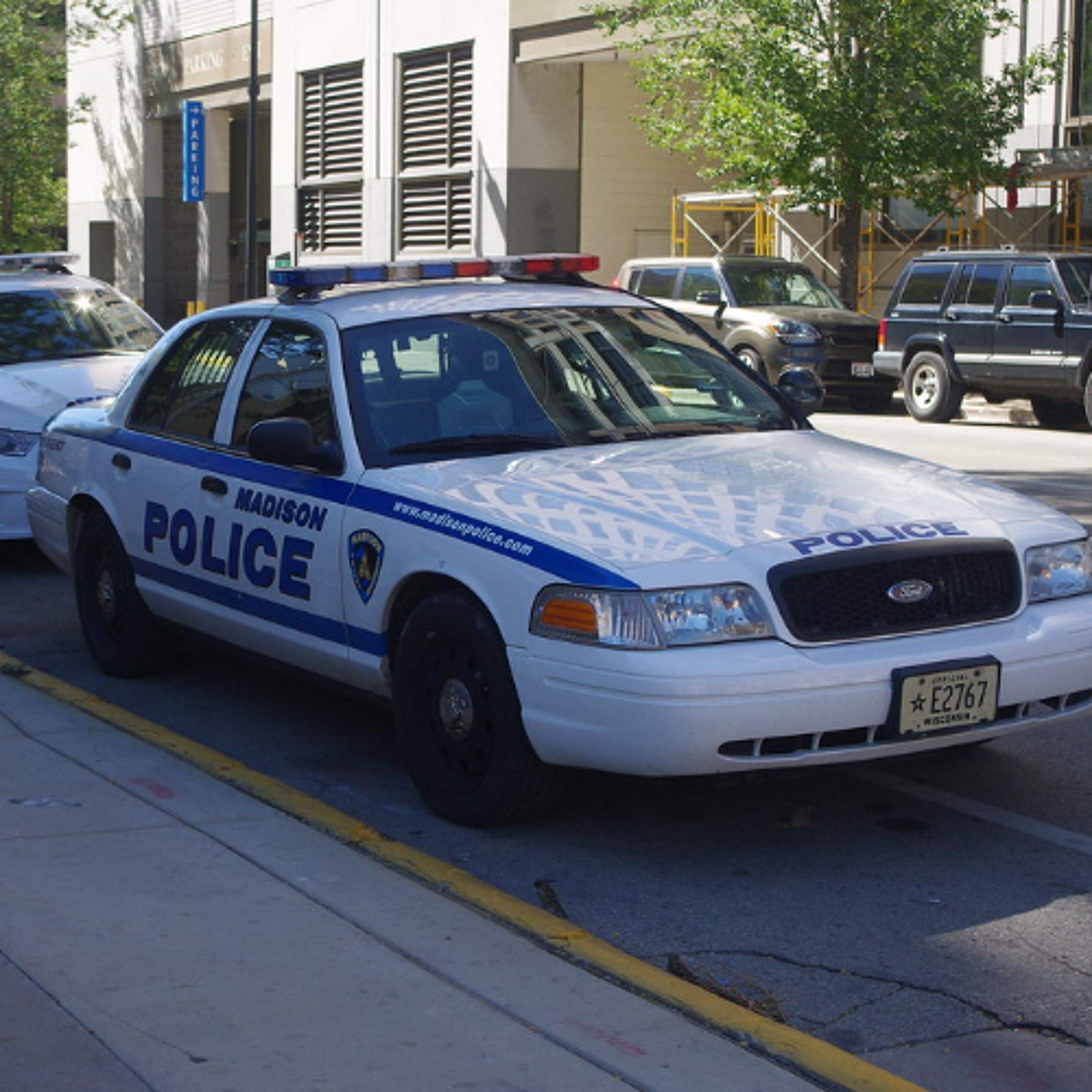 Independent monitor recommends re-examining death in police custody episode artwork