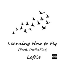 Learning How to Fly (prod, DeethePlug)