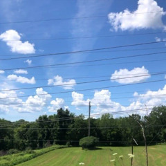 Tannerite (Prod.TODE!) THIS IS NOT AI !!! FUCK AI !!!