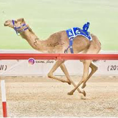 ‎⁨أسعد البطحري - مياسة لـ سعادة فرج بن علي بن حمودة الظاهري (حصرياً)  2021⁩.m4a