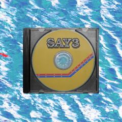 Live from TM02: SAY3
