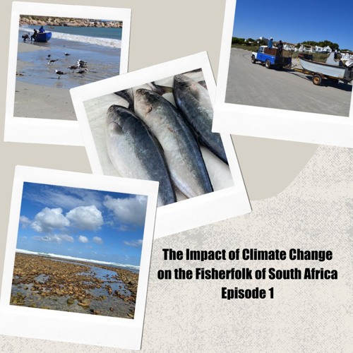 Stream The Impact Of Climate Change On The Fisherfolk Of South Africa 1 ...