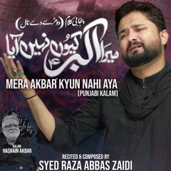 Mera Akbar (a.s) Kyun Nahi Aya  --  Syed Raza Abbas Zaidi  --  Punjabi  --  2024