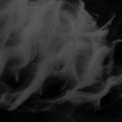 Collective Data Collection