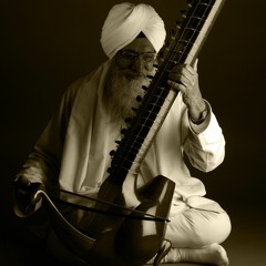 ਨੀਕੀ ਸਾਧ ਸੰਗਾਨੀ ॥Neeki Saadh Sangani( Bhai Avtar Singh Ji)