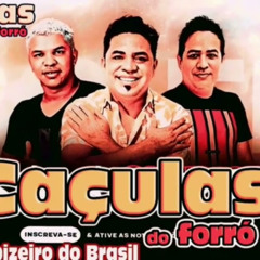 Playboy - Caçulas do Forró
