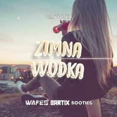 DR. VODKA - ZIMNA WÓDKA (WAFES x BARTIX Bootleg) 2022
