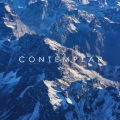 | Contemplar 016