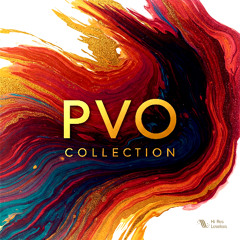 PVO COLLECTION (2025) - RADIO.