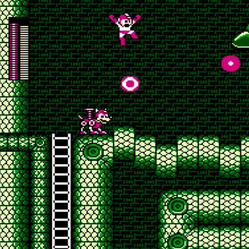 8bit