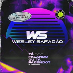 Wesley Safadão - Como É Que Eu Digo Não - Tá Falando ou Tá Fazendo