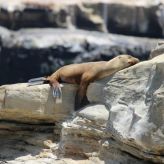 Relax, Release, Let Go