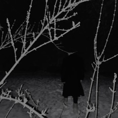 snow storm (prod.luvhead)