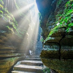 Miracle healing music, healing meditation in the forest(기적의 치유음악, 숲에서 명상하기), ASMR