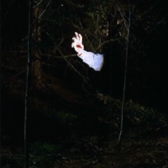 danny impulsiv - voices from the other side (ambient)