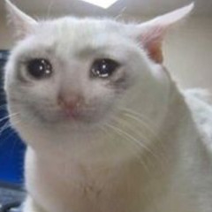 Die With Me Please
