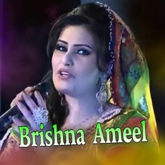 Brishna Ameel | New Song | Da Zama da spene gare haar day | 2023 new song