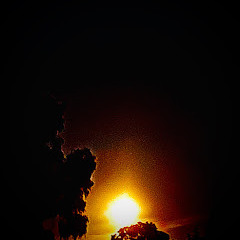 A Fuck Is Your Master