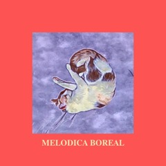 Melódica Boreal