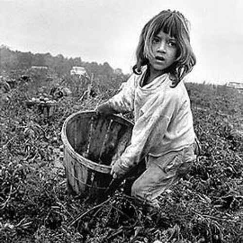 Наше детство помидоры. Tomato field, 1937. Моя дорога в детство томат помидор 2024