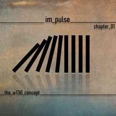 im_pulse - chapter_01 - experimental electronic mashups