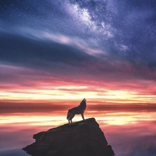 Chrishan- I Choose You