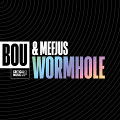 Bou & Mefjus - Wormhole