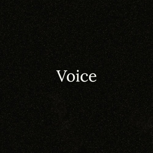 Voice