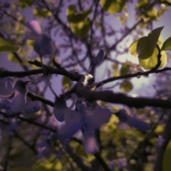 radio 2019 - 20.11.2025