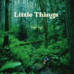 Little Things