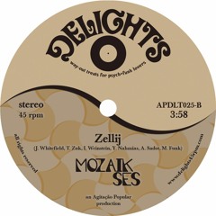 APDLT025-B: Mozaik Ses - Zellij (preview)