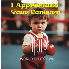 I Appreciate Your Concern